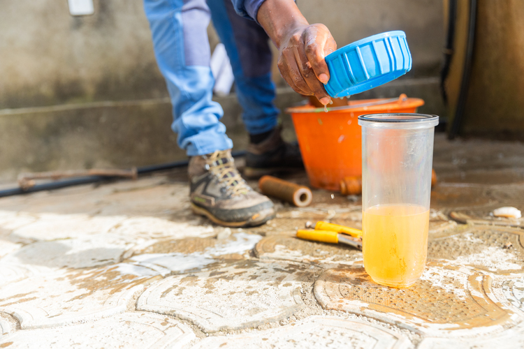 Plumber inspecting water quality — assessing contamination risk and mold prevention needs after water damage